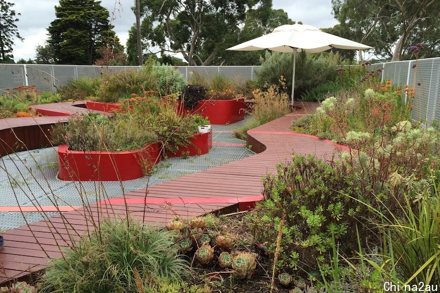 A roof planted with vegetation