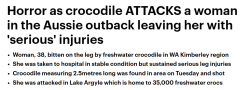 澳洲热门旅游景点发生鳄鱼伤人事件，一女子腿部被严重咬伤