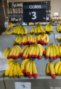 澳洲99%华人都不知道，超市中有红色印记的香蕉，背后竟然藏着一个天大的秘密！
