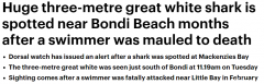 注意！悉尼Bondi海滩惊现3米大白鲨，游泳者需警惕（组图）