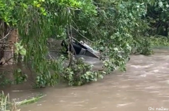 昆州中部泡水车发现女尸，布里斯班渡轮停驶！