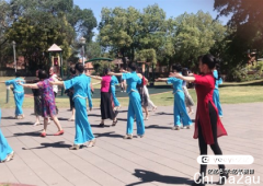 悉尼Burwood Council邀请您同家人一起跳中国排舞（Line Dance），时间、地点现已公布