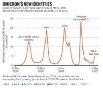 新冠规律已找到？每6个月出现新变种！新西兰发现BA.5毒株