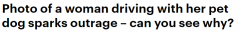 澳女开车让狗狗坐腿上遭网友谴责，这样做小心被罚$5500！车主还可能面临监禁（图）
