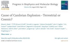 寒武纪生命大爆发的原因：地球还是宇宙？章鱼只是用来论证
