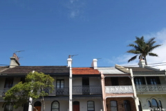 悉尼独立屋与公寓之间的价格差距已达创纪录水平