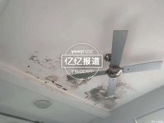 “漏水严重”、“蟑螂成灾”，澳洲华人夫妻租房接连遇到问题公寓，中介：“不满意可以搬走”