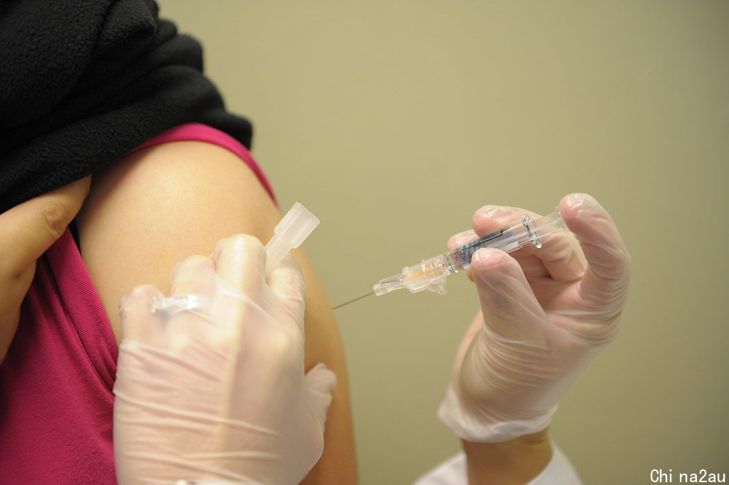 flu_vaccine.jpg__1600x900_q85_crop_subsampling-2.jpg,0