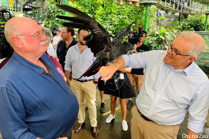 Scott Morrison holds a red-tailed black cockatoo during a press conference at a far north Queensland wildlife park.