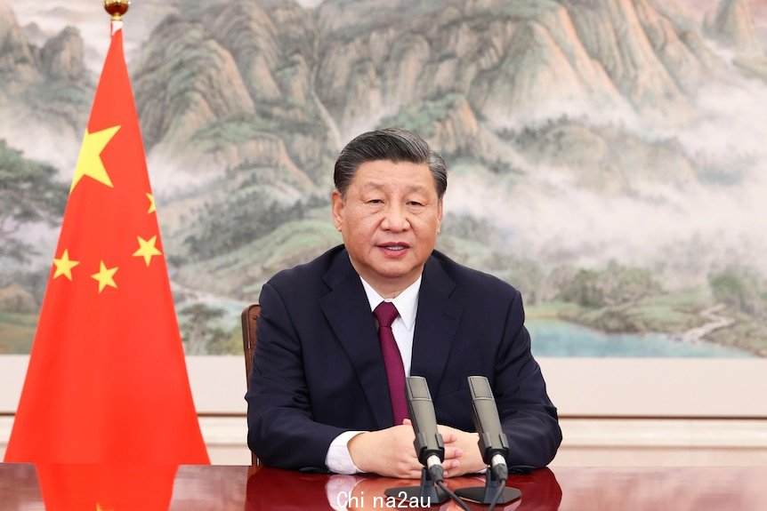 A man sits at a desk in front of microphones with a Chinese landscape painting and flag behind him