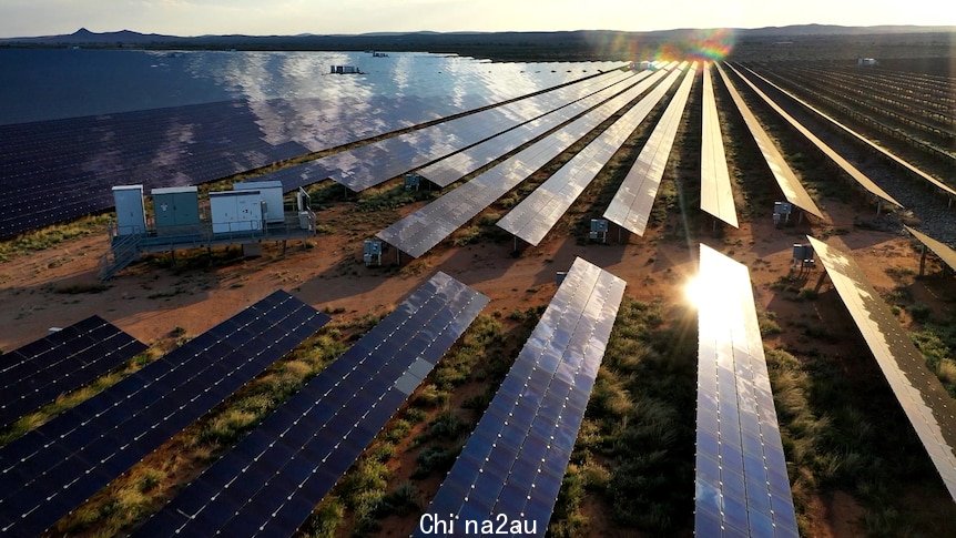 Long rows of solar panels stretch into the distance in a open landscape. The sun reflects off one of the panels.