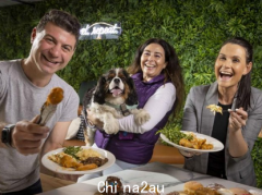 澳企推出各种福利：免费午餐、健康课，还能养宠物！吸引员工重返办公室