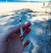 悉尼父亲在沙滩发现破碎针管! 环保局称乱扔针管或被罚450刀
