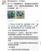 溜溜梅出发夹了？网友：你没事吧