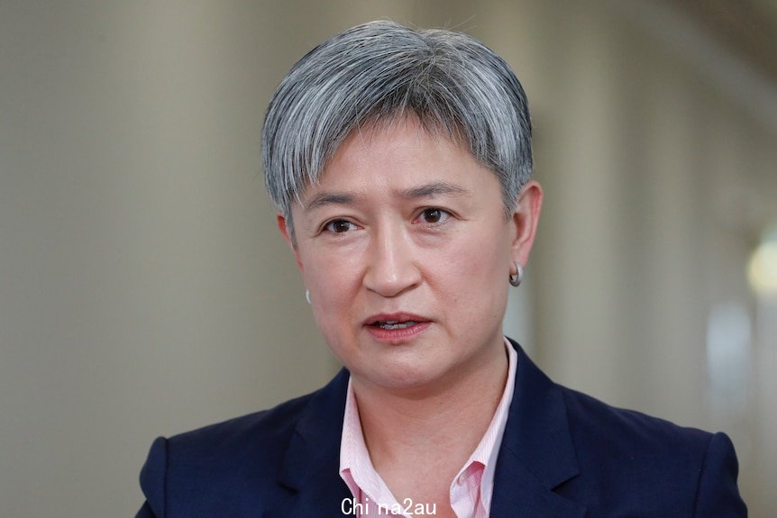 A close shot of Penny Wong, who has short grey hair, speaking indoors with a neutral expression.