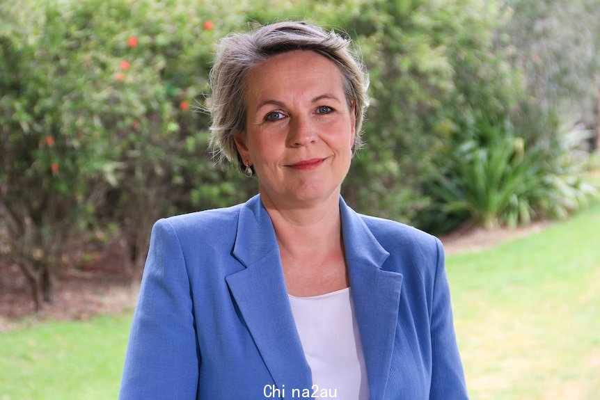 Tanya Plibersek