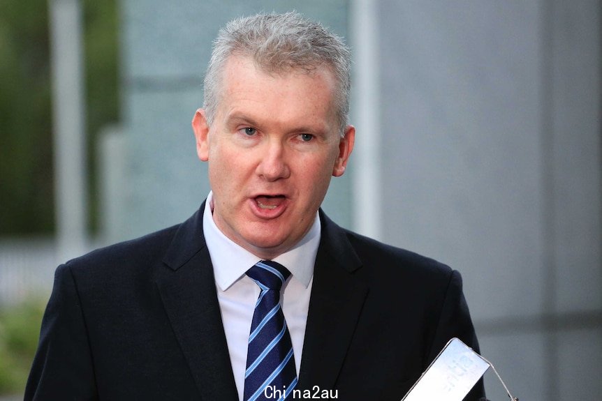 Tony Burke mid-sentence while speaking to reporters at Parliament House.