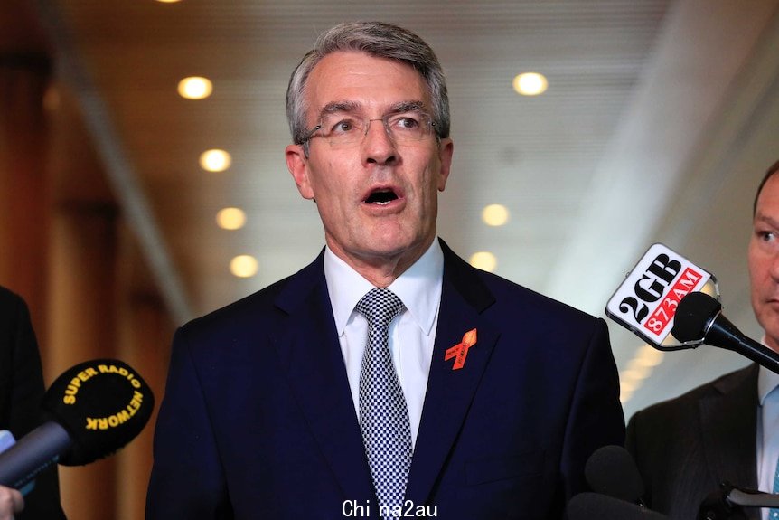 Shadow Attorney-General Mark Dreyfus speaks to reporters