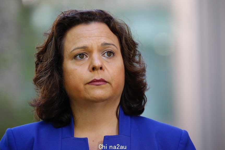 Labor MP Michelle Rowland looks into the distance while speaking the media at Parliament House. She's wearing a blue jacket.