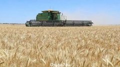 澳洲小麦或连续第三年丰收，缓解全球供应担忧