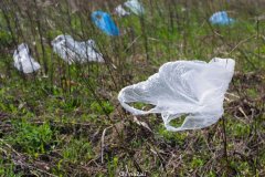 澳新州禁用一次性塑料袋！这些东西不能用！11月将禁用更多