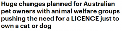 澳洲养宠物或将需要许可证！？动物福利组织已向政府提交17项建议（图）