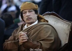 2011年卡扎菲死前：藏在水泥管道睡觉，手擦眼泪，祈求士兵别开枪