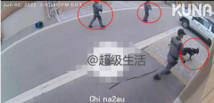 吓哭！万锦华人家后院被特警持枪冲入抓人！2疑犯飞奔！直升机，警犬全出动