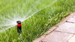 珀斯限水新规！9 月起，将限制花园钻孔灌注时间！西澳工厂排放有毒气体被投诉，将进行安全改进！
