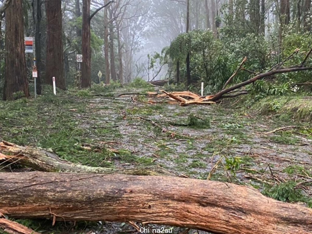 3aw-image-mount_dandenong-storm_damage.jpg,0