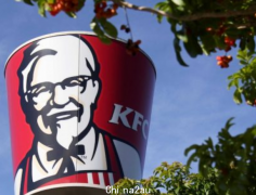 昆州生菜短缺价格暴涨 KFC汉堡被迫换原料