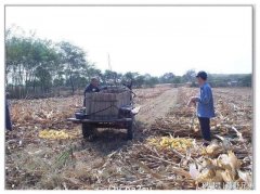 他去美国带孙子，没想到留下了残疾，半年后一瘸一拐回到了老家