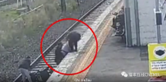墨尔本轮椅老人不慎跌落火车站台，近10人跳入铁轨营救！老人：我想要找到这些好心人！