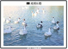 油价上天，拜登发飙：他们赚得“比上帝还多”，石油业：呵呵！