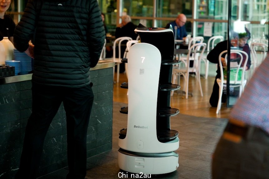 堪培拉一家咖啡馆中的送餐机器人