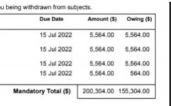 墨大学费一年竟然要20万？多人晒学费单！近期澳洲回国航班恐再遭熔断