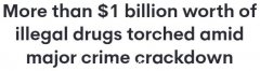 1.5吨毒品化为灰烬，价值$10亿！新州警方焚毁大批非法毒品（组图）
