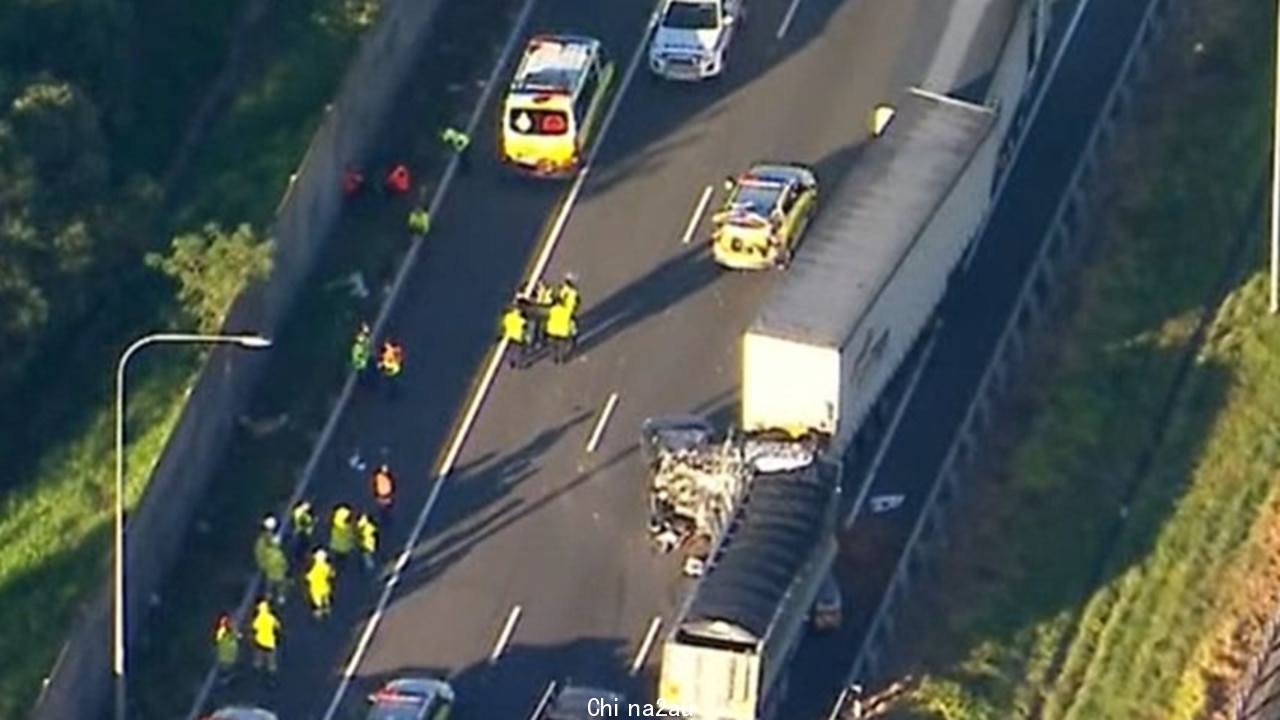 The Logan Motorway crash. Photo: 9 News