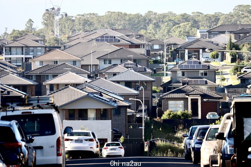 a skyline with houses