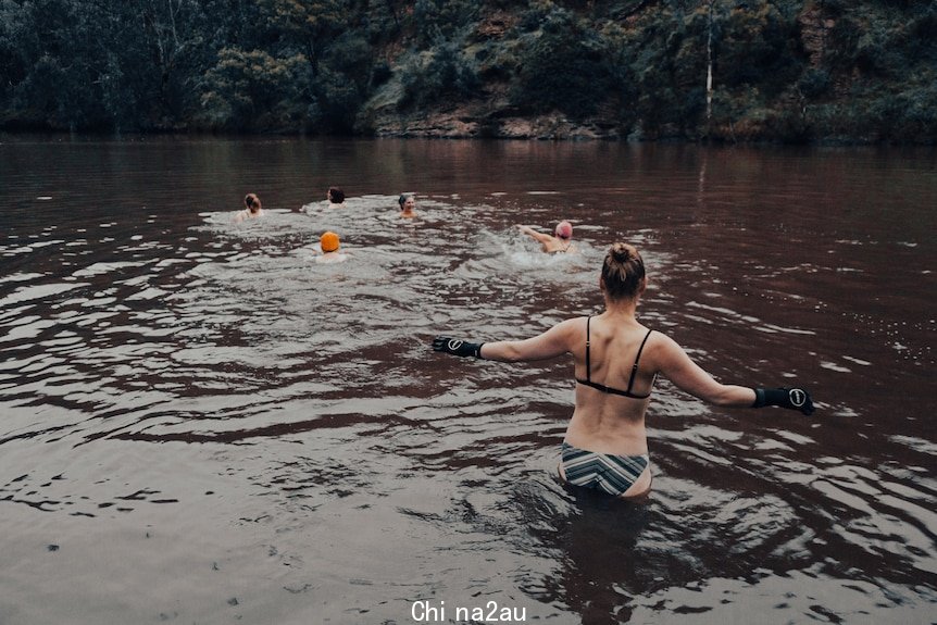 游泳爱好者不畏寒冷在雅拉河里游泳。