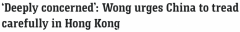 黄英贤：《国安法》损害香港自治，北京应保障港人民主自由（组图）