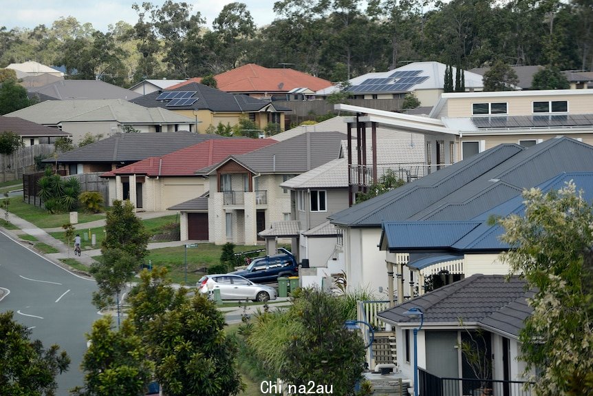 Houses lining a suburban street