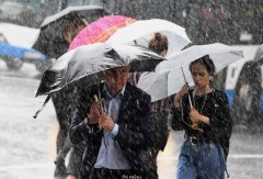 本月刚过半悉尼已经打破了七月降雨纪录，接近年度降雨纪录