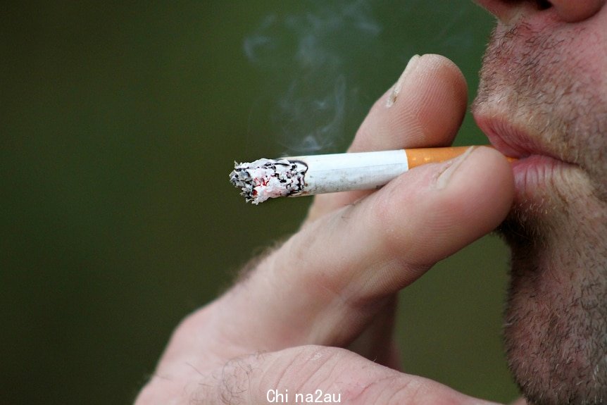 Man puts tobacco cigarette in his mouth.