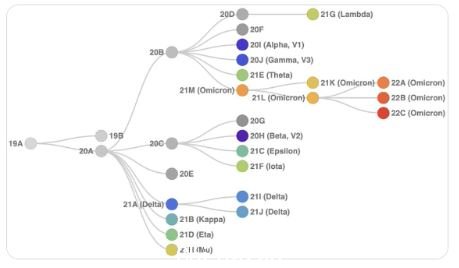 A flow chart showing the evolution of SARS-CoV-2, from the original variant to multiple Omicron variants.