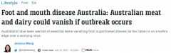 口蹄疫对澳洲威胁巨大！如爆发疫情，一大批商品将从货架消失，经济损失恐达$800亿（组图）