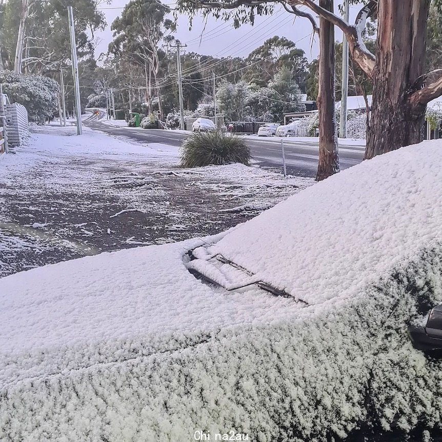 Snow covering a car windshield and a street.