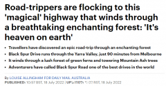 火出圈了！澳洲这条公路被人们称为“人间天堂”，自驾游走起...（组图）