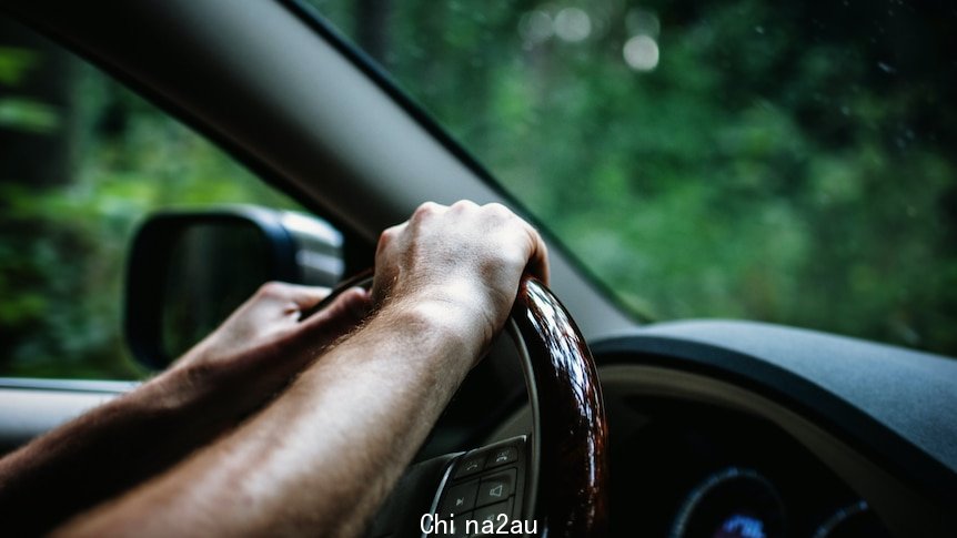 A close up of two hands on a steering wheel in a car driving through a forest