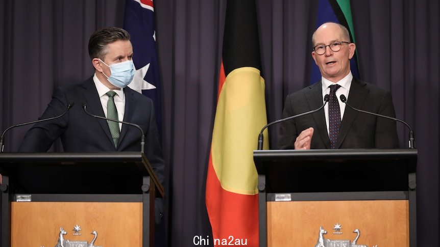 Mark Butler and Paul Kelly stand at lecturns in Parliament House